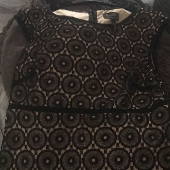 NEW Laundry by Shelli Segal Lace Sheath Dress 8 - Picture 8 of 8